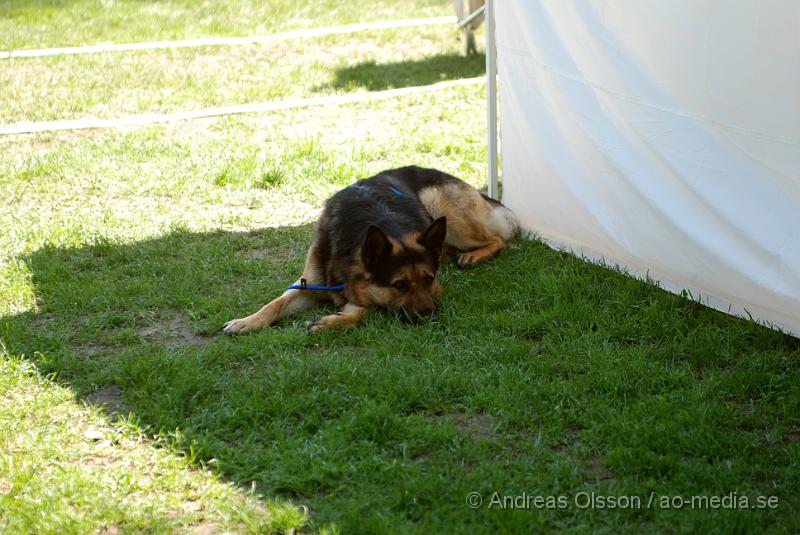 DSC_0208.JPG
