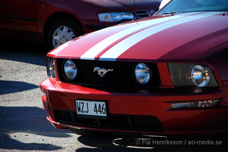 DSC_3662.JPG
