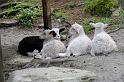 _DSC0151