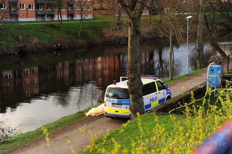 _DSC7779.JPG - Vid 18,40 tiden larmades räddningstjänst, ambulans och polis till Rönne å i centrala Ängelholm där en uppringare som gått längs med ån uppmärksammat något i vattnet och ringde SOS. Väl på plats kunde räddningstjänsten som först fick upp mannen konstatera att han var avliden. Polisen konstatera det också och att mannen troligtvis legat i vattnet ett tag. Det är oklart hur det gått till.