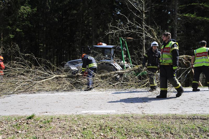 _DSC7825.JPG - Vid 12:40 larmades räddningstjänsten, ambulans och polis till väg 1212 mot Stenestad där en traktor av oklar anledning kört av vägen och krockat med två träd. Föraren av traktorn kunde själv ta sig ut men fick följa med ambulansen till sjukhuset, oklart hur skadad personen var.