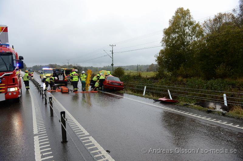 DSC_1395.JPG - Vid 10.55 larmades räddningstjänst, ambulans och polis till väg 21 strax utanför Perstorp där en personbil kolliderat med en älg. Bilen blev kraftigt demolerad och föraren som var ensam i bilen klämdes fast. Dock lyckades man få ut föraren utan att klippa upp bilen. Föraren följde med ambulansen till sjukhus med allvarliga skador. Älgen avled direkt efter kollisionen.