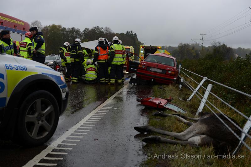 DSC_1398.JPG - Vid 10.55 larmades räddningstjänst, ambulans och polis till väg 21 strax utanför Perstorp där en personbil kolliderat med en älg. Bilen blev kraftigt demolerad och föraren som var ensam i bilen klämdes fast. Dock lyckades man få ut föraren utan att klippa upp bilen. Föraren följde med ambulansen till sjukhus med allvarliga skador. Älgen avled direkt efter kollisionen.