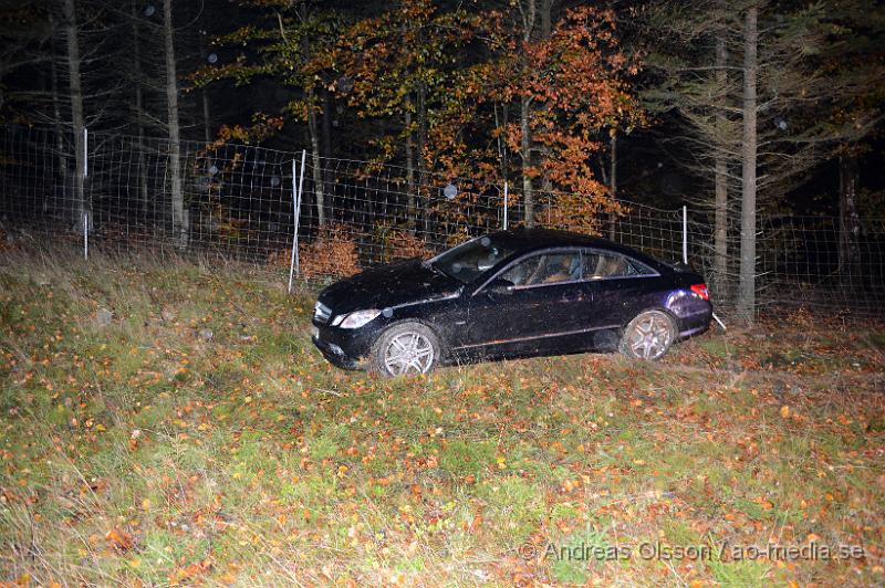 DSC_1905.JPG - Strax efter 19:00 larmades räddningstjänsten,ambulans och polis till E4an vid Mölletofta där en personbil åkt av vägen och in i viltstängsel.  Personerna i bilen kunde kliva ur bilen själva.