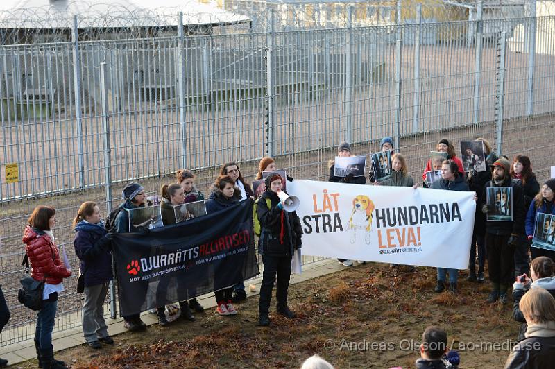 DSC_3088.JPG - Vid 14 tiden på lördagen höll Djurrättsalliansen en demonstration mot Astrazenecas hund uppfödning utanför Örkelljunga. Det var när AstraZeneca gick ut och sa att dem skulle lägga ner uppfödningen och djurförsöken mot beaglarna och sa att man antingen skulle massavliva 400 hundar eller skicka dem till England för mer djurförsök och sämre förhållanden än vad dem har nu. När demonstrationen var fanns där bara ett fåtal hundar kvar och man vet inte riktigt var dem andra har tagit vägen. Djurrättsalliansen vill att man ska omplacera alla hundar som är där till kärleksfulla hem runtomkring i Sverige, och man har fått väldigt stor respons av personer som vill ta hand om hundarna!