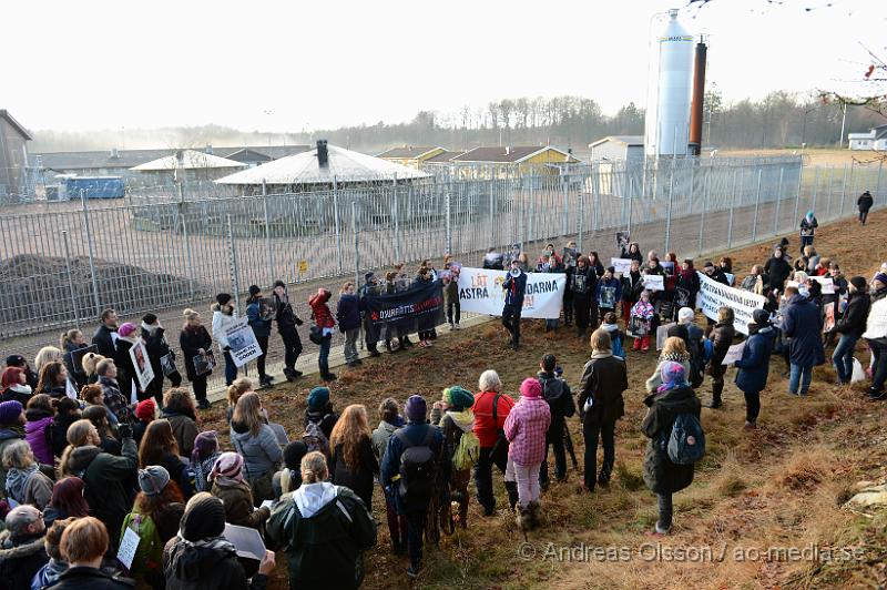 DSC_3090.JPG - Vid 14 tiden på lördagen höll Djurrättsalliansen en demonstration mot Astrazenecas hund uppfödning utanför Örkelljunga. Det var när AstraZeneca gick ut och sa att dem skulle lägga ner uppfödningen och djurförsöken mot beaglarna och sa att man antingen skulle massavliva 400 hundar eller skicka dem till England för mer djurförsök och sämre förhållanden än vad dem har nu. När demonstrationen var fanns där bara ett fåtal hundar kvar och man vet inte riktigt var dem andra har tagit vägen. Djurrättsalliansen vill att man ska omplacera alla hundar som är där till kärleksfulla hem runtomkring i Sverige, och man har fått väldigt stor respons av personer som vill ta hand om hundarna!