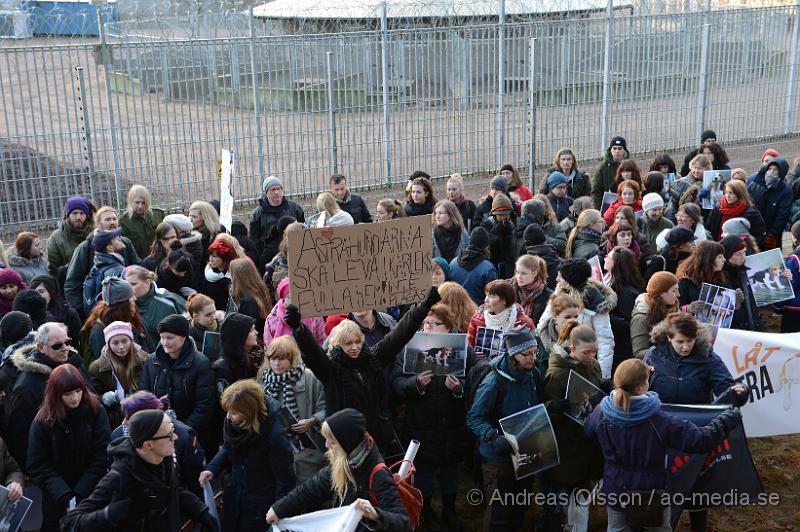 DSC_3111.JPG - Vid 14 tiden på lördagen höll Djurrättsalliansen en demonstration mot Astrazenecas hund uppfödning utanför Örkelljunga. Det var när AstraZeneca gick ut och sa att dem skulle lägga ner uppfödningen och djurförsöken mot beaglarna och sa att man antingen skulle massavliva 400 hundar eller skicka dem till England för mer djurförsök och sämre förhållanden än vad dem har nu. När demonstrationen var fanns där bara ett fåtal hundar kvar och man vet inte riktigt var dem andra har tagit vägen. Djurrättsalliansen vill att man ska omplacera alla hundar som är där till kärleksfulla hem runtomkring i Sverige, och man har fått väldigt stor respons av personer som vill ta hand om hundarna!