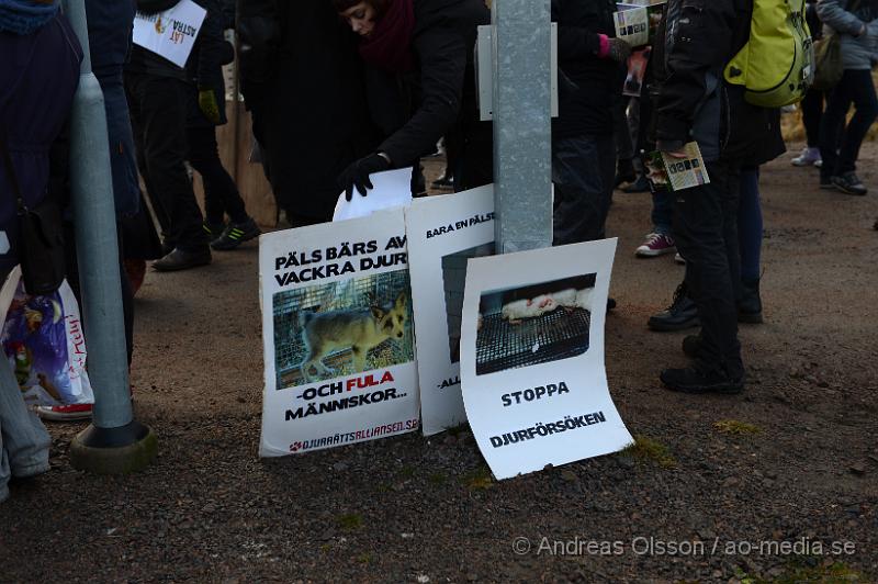 DSC_3123.JPG - Vid 14 tiden på lördagen höll Djurrättsalliansen en demonstration mot Astrazenecas hund uppfödning utanför Örkelljunga. Det var när AstraZeneca gick ut och sa att dem skulle lägga ner uppfödningen och djurförsöken mot beaglarna och sa att man antingen skulle massavliva 400 hundar eller skicka dem till England för mer djurförsök och sämre förhållanden än vad dem har nu. När demonstrationen var fanns där bara ett fåtal hundar kvar och man vet inte riktigt var dem andra har tagit vägen. Djurrättsalliansen vill att man ska omplacera alla hundar som är där till kärleksfulla hem runtomkring i Sverige, och man har fått väldigt stor respons av personer som vill ta hand om hundarna!