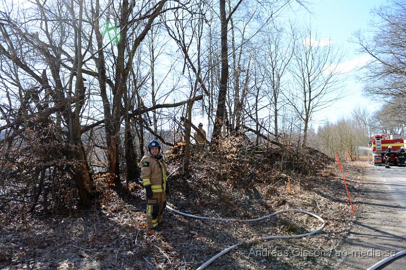 DSC_4951.JPG - Strax innan klockan 12 larmades räddningstjänsten samt polis till en gräsbrand strax utanför klippan. En yta på ca 20x40 meter med torrt gräs å träd brann. Räddningstjänsten fick snabbt kontroll över branden och den kunde snabbt släckas ner. Oklart hur branden startat.