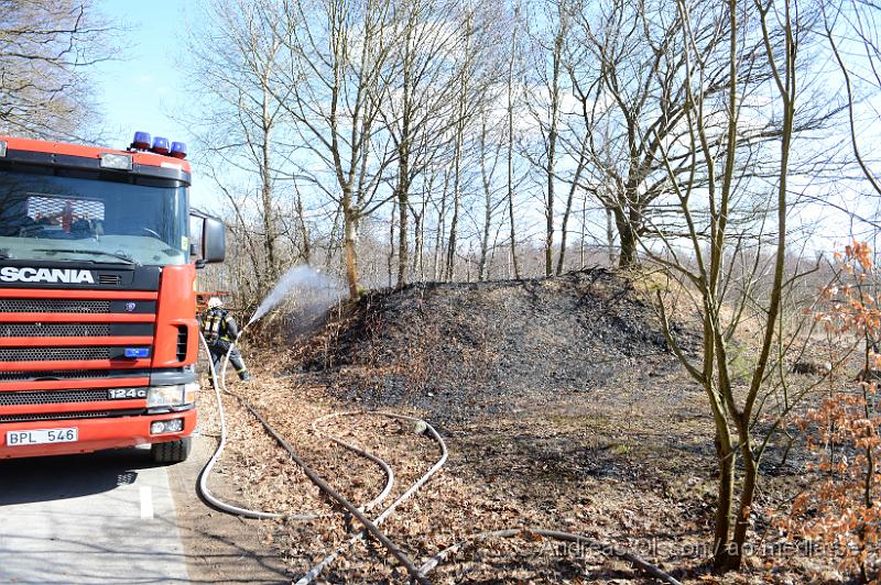 DSC_4953.JPG - Strax innan klockan 12 larmades räddningstjänsten samt polis till en gräsbrand strax utanför klippan. En yta på ca 20x40 meter med torrt gräs å träd brann. Räddningstjänsten fick snabbt kontroll över branden och den kunde snabbt släckas ner. Oklart hur branden startat.