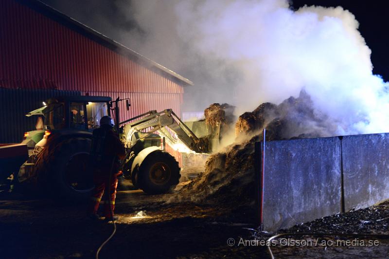 DSC_5103.JPG - Vid 22.30 larmades en större räddningsstyrka från Ängelholm med förstärkning från bla Åstorp och Helsingborg till en gård strax utanför Spannarp. Enligt uppgifter till SOS skulle det brinna kraftigt i ett stall där det fanns hästar men när första räddningsstyrkorna kom till platsen var det en gödselhög som brann. Det var grannar som sett lågor och kraftig rökutveckling vid stallet och larmat SOS. Övriga räddningssyrkor kunde vändas innan dem kom fram till platsen och räddningstjänsten från ängelholm tog hand om släckningen som tog ett par timmar och man tog även hjälp av bondes traktor för att sprida ut gödseln. Ingen kom till skada i branden, hur branden startat är oklart.