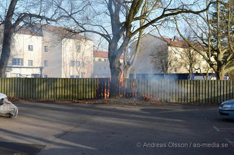 DSC_5253.JPG - Strax innan 19 larmades räddningstjänsten till Åbygatan i Klippan där man hade brand i gräs,träd och ett staket. Räddningstjänsten fick snabbt kontroll på branden.