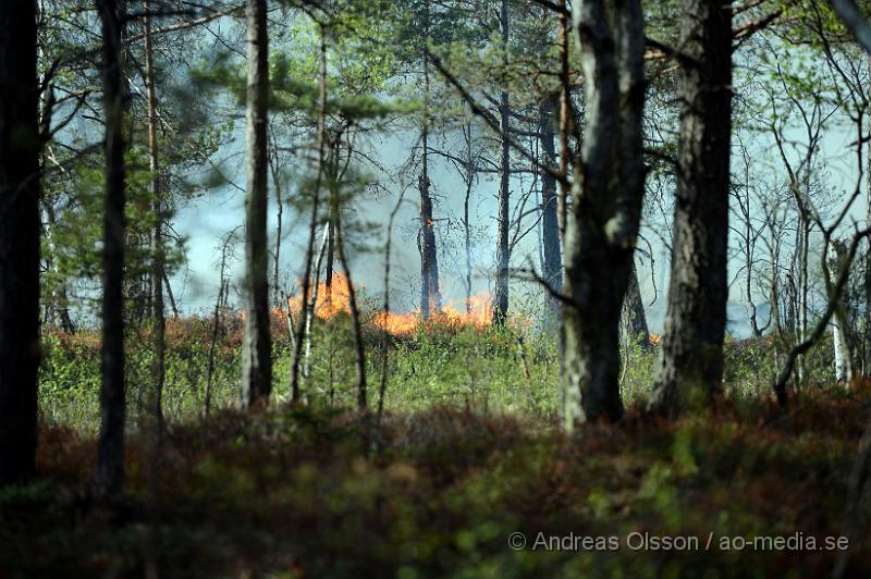 DSC_5889.JPG - Strax efter 14,30 larmades räddningstjänsten från Örkelljunga och Skånes Fagerhult till en brand i torvmossen, Flåsmyren. Branden visade sig vara av större omfattning och flera räddningstjänster larmades ut till platsen. Det visade sig att branden var av större omfattning än man trott och branden skulle pågå i flera dagar och ett område på omkring 500 000 kvm brann. Man tog hjälp av militären, helikopter, Räddningsfordon från runtomkring skåne för att arbeta med släckningnen. E4an fick stängas av i 2-3 dagar pga rökutvecklingen. Och trafiken fick ledas om genom gamla E4an. Inga personer ska ha skadats allvarligt i branden men värden för flera miljoner ska ha gått upp i rök. Under det intensivaste släckningsdagarna var man uppemot 100 personer som arbetade med branden, Brandmän,frivilliga och hemvärnet.