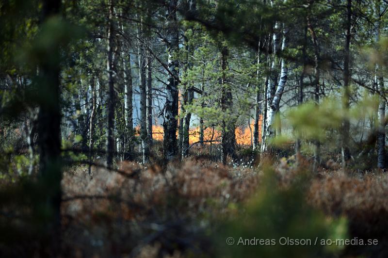 DSC_5898.JPG - Strax efter 14,30 larmades räddningstjänsten från Örkelljunga och Skånes Fagerhult till en brand i torvmossen, Flåsmyren. Branden visade sig vara av större omfattning och flera räddningstjänster larmades ut till platsen. Det visade sig att branden var av större omfattning än man trott och branden skulle pågå i flera dagar och ett område på omkring 500 000 kvm brann. Man tog hjälp av militären, helikopter, Räddningsfordon från runtomkring skåne för att arbeta med släckningnen. E4an fick stängas av i 2-3 dagar pga rökutvecklingen. Och trafiken fick ledas om genom gamla E4an. Inga personer ska ha skadats allvarligt i branden men värden för flera miljoner ska ha gått upp i rök. Under det intensivaste släckningsdagarna var man uppemot 100 personer som arbetade med branden, Brandmän,frivilliga och hemvärnet.