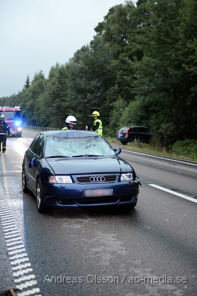 DSC_2161.JPG - Kl 20 larmades räddningstjänst, ambulans och polis till väg 21 i höjd med Hyllstofta där en personbil har kolliderat med en älg. Det färdades två personer i bilen och det är oklart vilka skador dessa fått. Ett körfält stängdes av under räddnings arbetet. Älgen ska ha sprungit ut i skogen efter krocken.