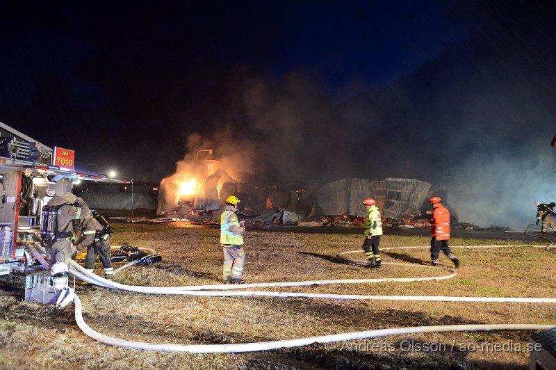 DSC_2358.JPG - Vid 02.40 larmades en stor räddningsstyrka till Lya utanför Båstad där ett stall brann. Hela byggnaden blev snabbt övertänd och ca 6 kalvar och två grisar brann inne, man lyckades rädda en kalv samt ca 140 kor som var i stallet brevid. Räddningstjänsten riktade in sig på att förhindra branden att sprida sig till bla boningshuset som låg väldigt nära stallet. Och det klara man med enbart lättare rök och vattenskador på villan. Ingen person ska ha kommit till skada.