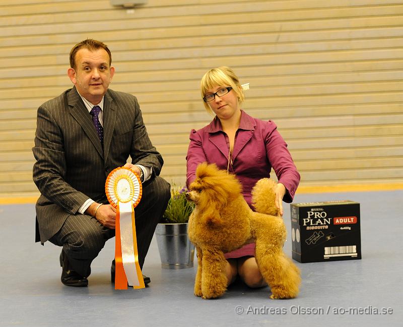 _DSC1606.JPG - Best in show - SAR